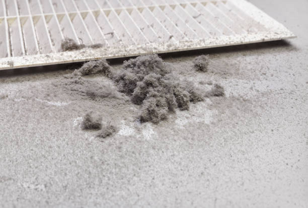 Best HVAC Air Duct Cleaning  in Athens, AL